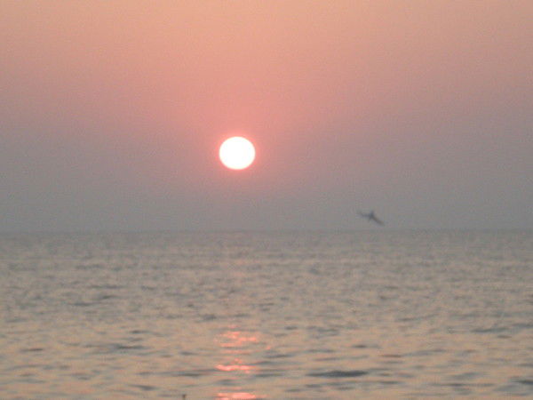 Татьяна Стариченко