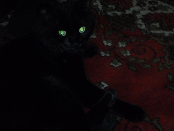 Ольга Видягина