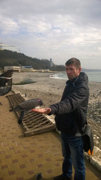 Александр Будулич