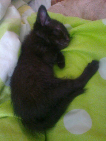 Гульнар Узакбаева