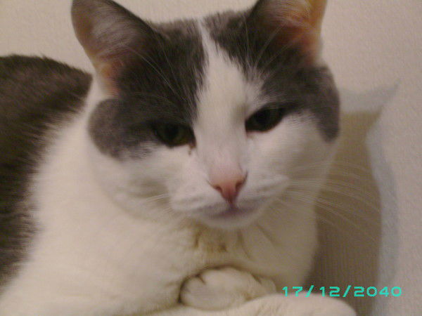 Ольга Гордиенко