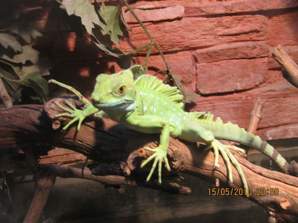 Ольга Фурсова