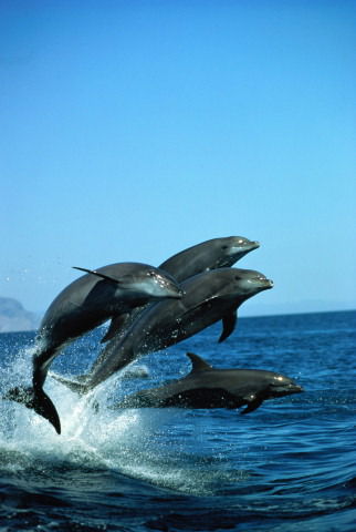 Юленька *****