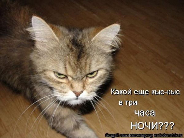 Владислав Ильин