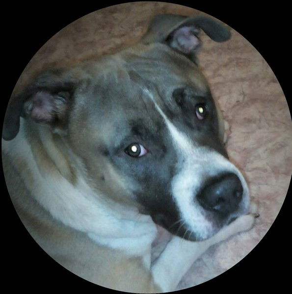 Сергей Ульянов