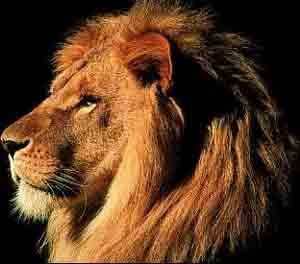 Дат Успанов