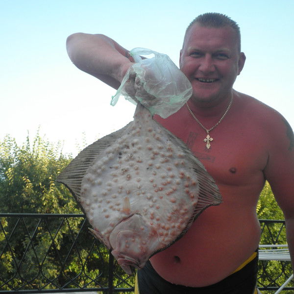 Валера Мамеев