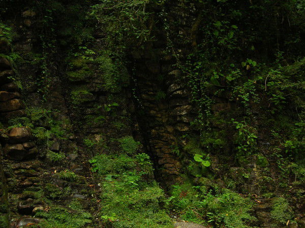 Кирилл Погорелов