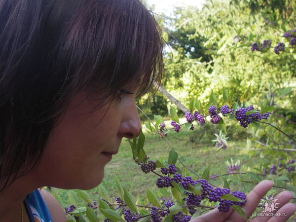 Ольга Миронова