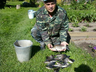 Владимир Кремер