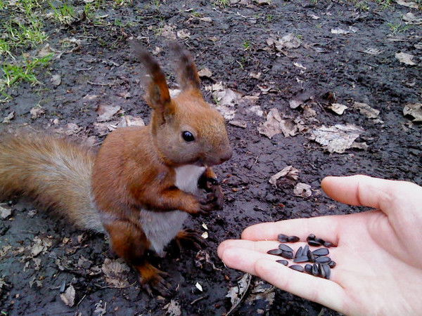 Андрей Галушкин