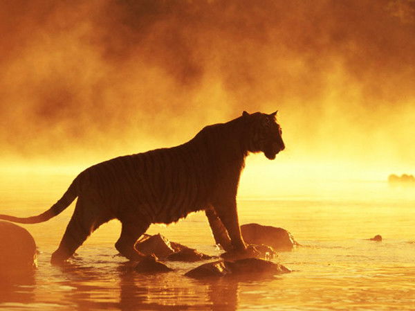 Гапырбек Эргешов