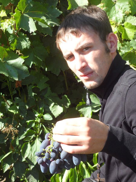 Виктор Шмулич