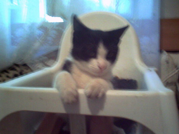 Татьяна Бурушкина