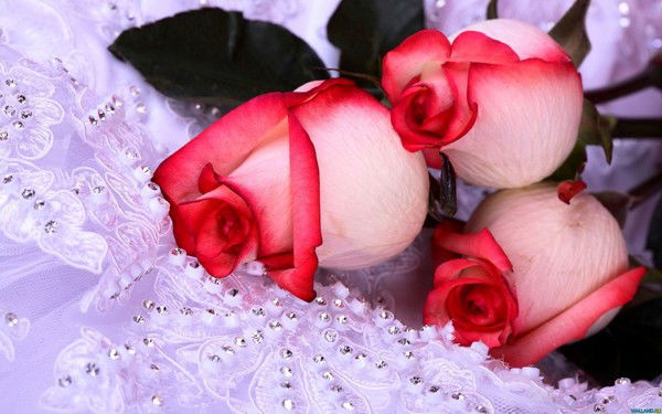 Акмарал Нурланбекова