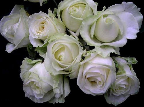 Гульбаршин Сугралиева