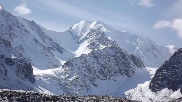 Николай Болтов