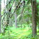 Инна Дунаева