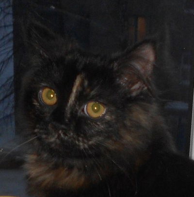 Иван Михалев