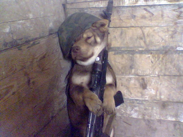 Иван Иванов