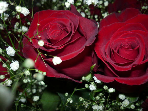 Любовь Полонникова