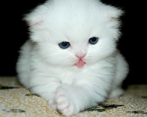 Марина Логвиновская