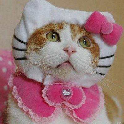 Лера Искимжи