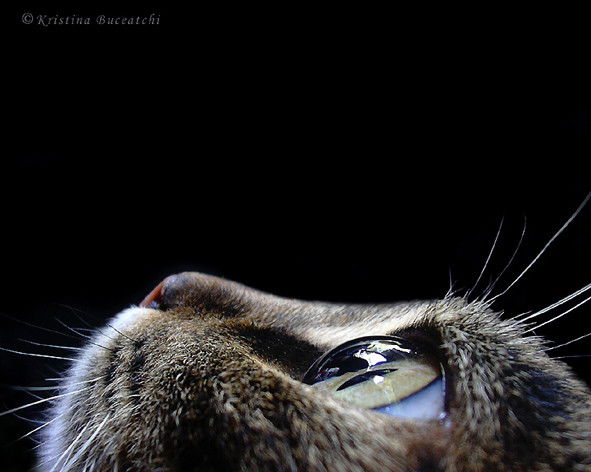 Гулжан Бегесинова