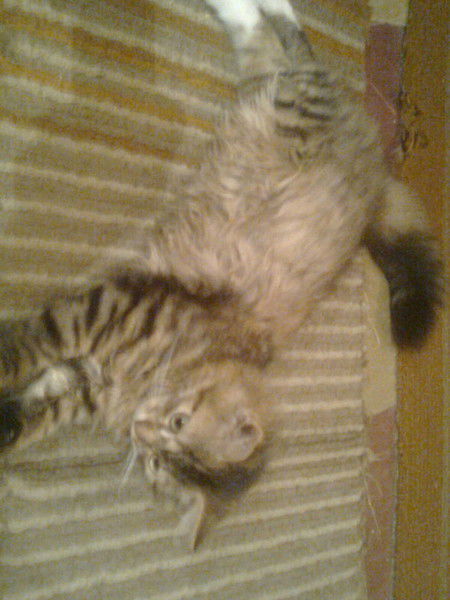 Сергей Заславский