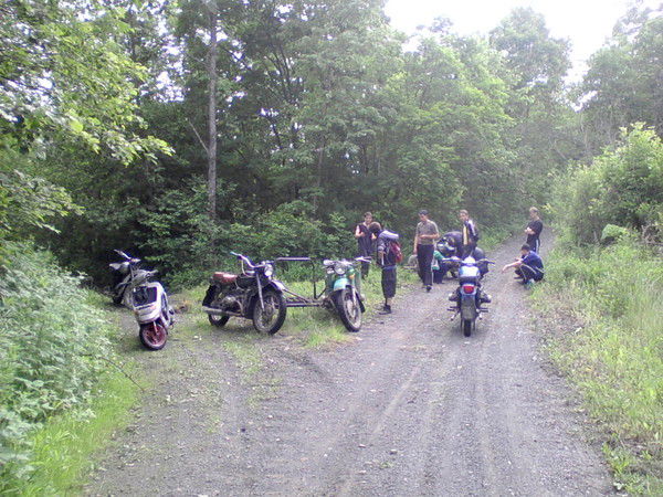 Дмитрий Денисов