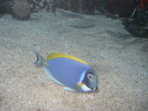 Рувинов Вадим