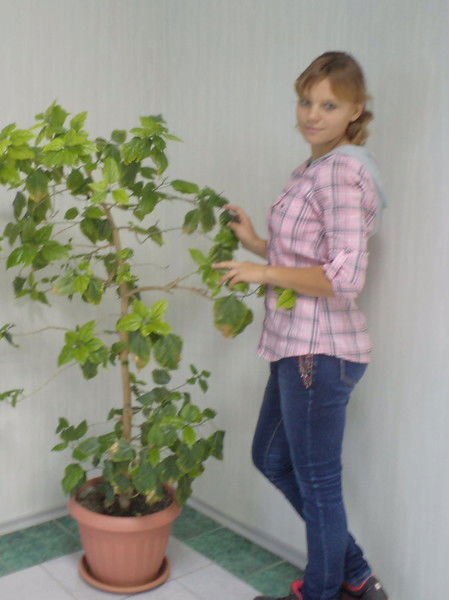 Евгения Боготопова