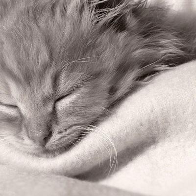 Екатерина Вдовина