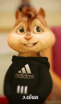 Кирилл Мужиков