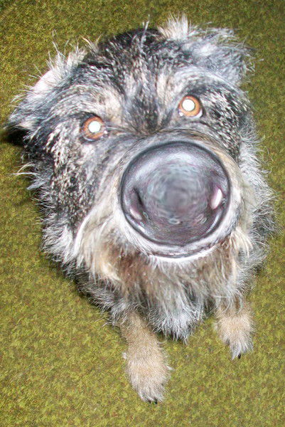 Костя Радионов