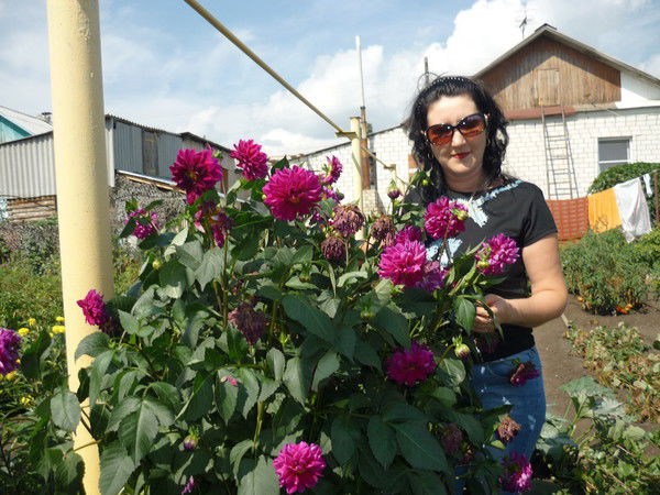 Ольга Старикова