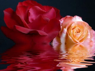 Гульмира Касенова