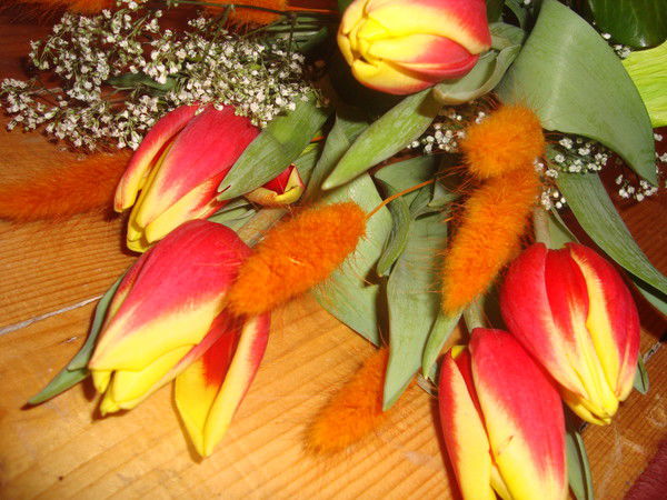 Светлана Пушкарович