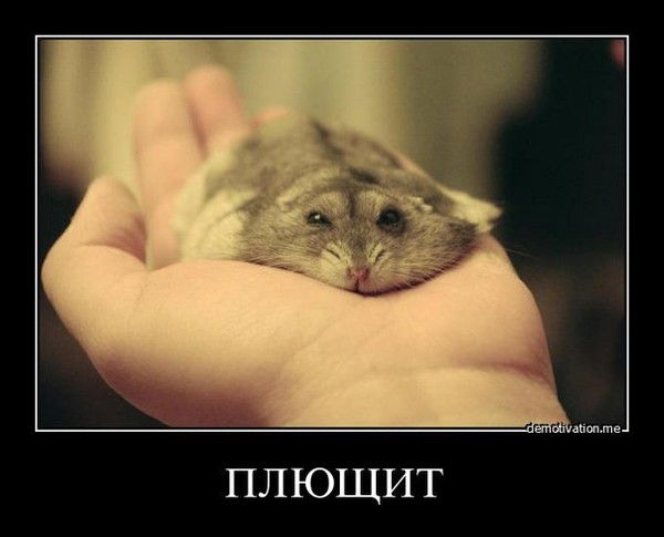 Марат Ахметьянов