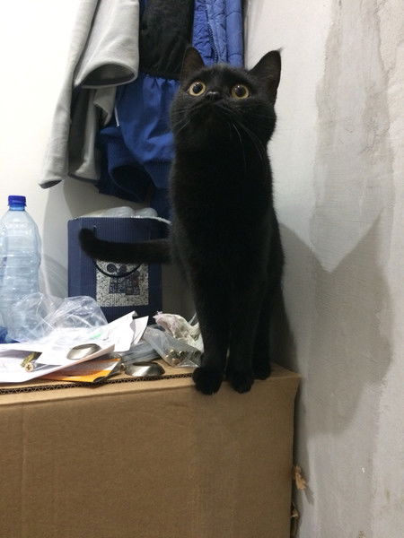 Владислав Дмитриев