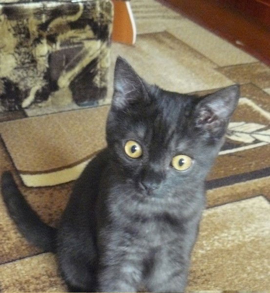 Юлия Ткаченко