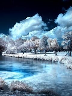 Улукбек Курбанкулов