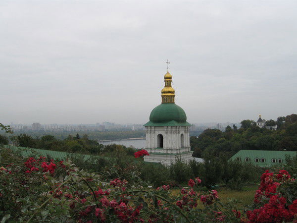 Дмитрий Тарасевич