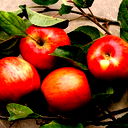 Анна Титовец