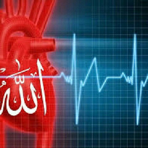 Талант Абдыкадыров