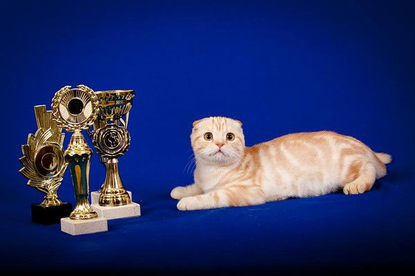 Екатерина Богданова