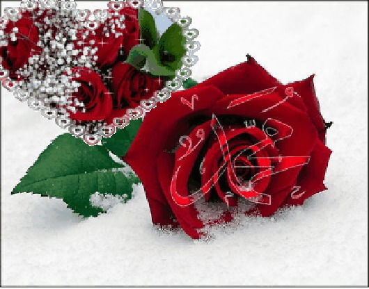 Эльмира Дасаева