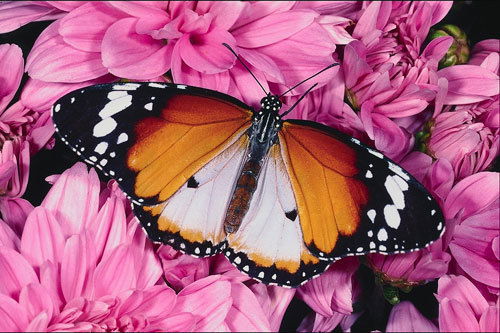 Марина Сухорукова