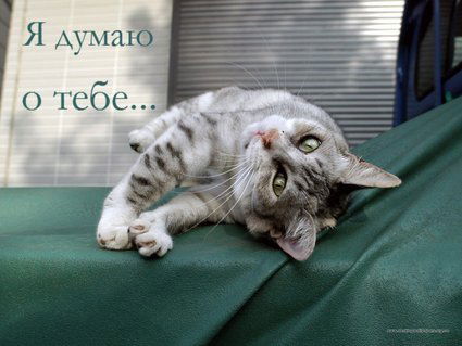 Мария Иванова