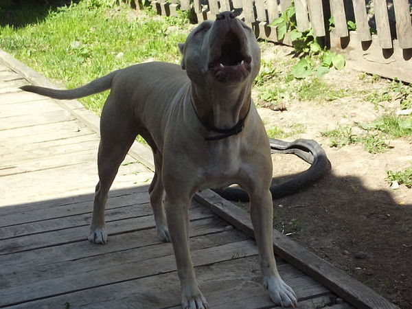 Оксана Смирнова